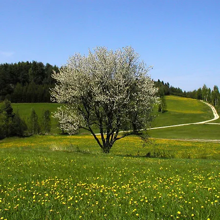 Δωμάτια σε οικογενειακή κατοικία Beim Einfalt Gross Gerungs