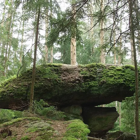 Проживание в семье Beim Einfalt