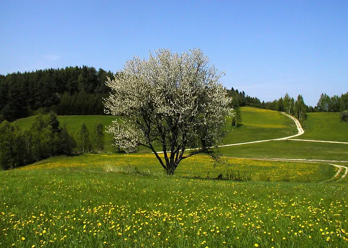 Pansiyon Beim Einfalt Gross Gerungs